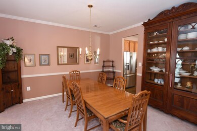 21628 Merion St, Ashburn, VA 20147 - photo 6