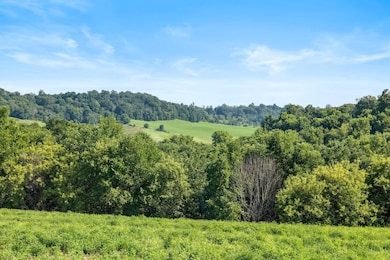 W10864 Santas Loop, Wonewoc, WI 53968 - photo 4