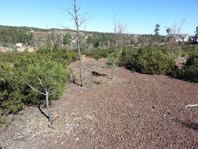 6250 Bull Elk Run unit 314, Show Low, AZ 85901 - photo 3