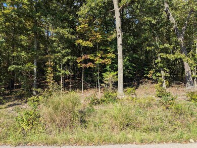 L20,21,22 B6 Lakota Trace, Cherokee Village, AR 72529 - photo 6