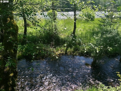 130 River View St, Gates, OR 97346 - photo 3