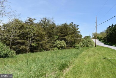 0 Maple Ridge unit MDWA2010406, Hancock, MD 21750 - photo 5
