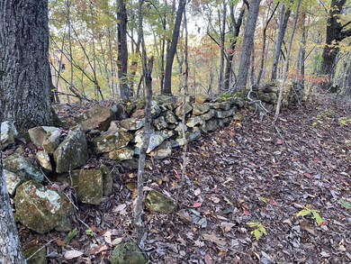 1880 Highway 1709, Tyner, KY 40486 - photo 5