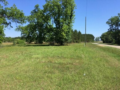 88.2 acr Ione Rd, Pavo, GA 31778 - photo 3