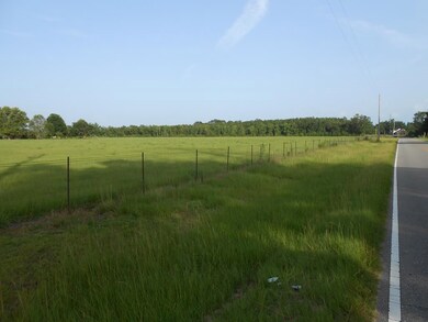 00000 William Rd, Picayune, MS 39466 - photo 2