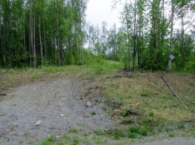 Driveway from the road
