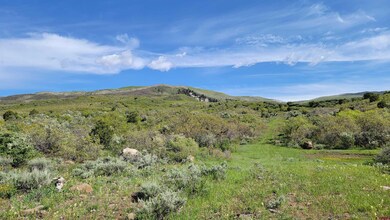 TBD W Elk View, Cedaredge, CO 81413 - photo 3