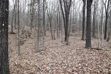 0 Madison 5548, Valley Township, AR 72727 - photo 4