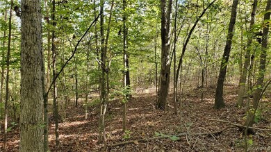 10.98 Acres Genito Rd, Amelia Ct Hse, VA 23002 - photo 5