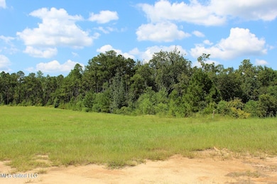 10.7 Acres Highway 98, Lucedale, MS 39452 - photo 6