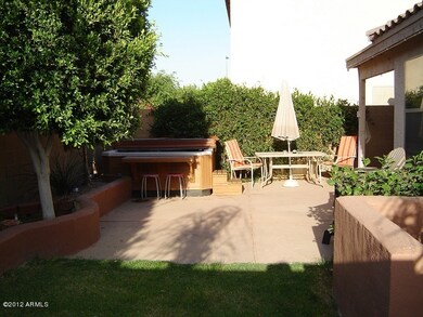 backyard PRINT