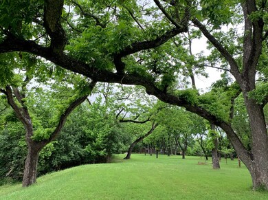 602 W Travis St, Fredericksburg, TX 78624 - photo 4