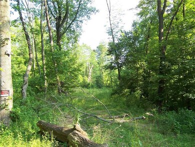 Land.