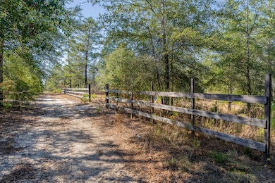 503 Old McHaus Rd, Nicholls, GA 31554 - photo 5