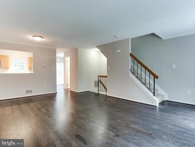 6216 William Mosby Dr, Centreville, VA 20121 - photo 4