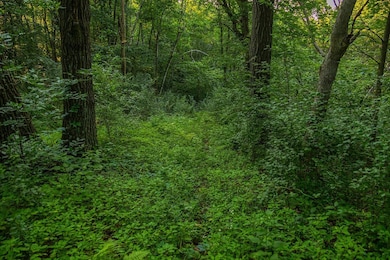 N34701 County Rd N, Blair, WI 54616 - photo 3