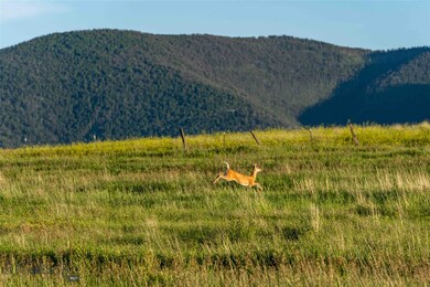 Wildlife abounds