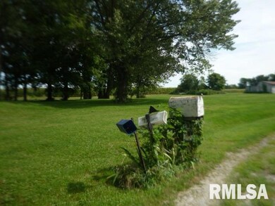 28909 Ropp Rd, Geneseo, IL 61254 - photo 4
