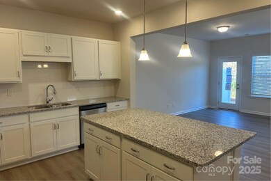 6009 Jasmine Branch Rd, Charlotte, NC 28216 - photo 6