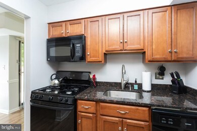 5921 Tamar Dr unit 3, Columbia, MD 21045 - photo 4