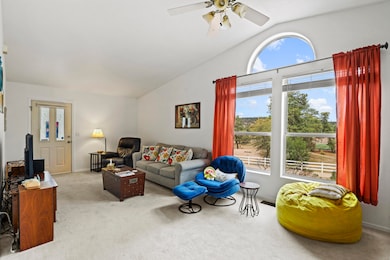 Living Room w Window