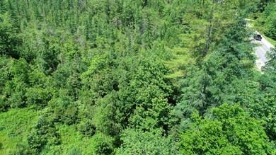 DJI_0142