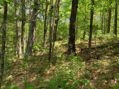 Lot 2 McCarthy Lake Rd, Tomahawk, WI 54487 - photo 2