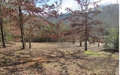 TR 1 Sky Hawk Spur, Hiawassee, GA 30546 - photo 2