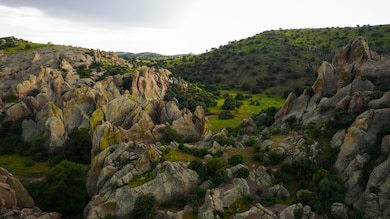 0 Xx C Bar Ranch Rd unit 17145279, Silver City, NM 88061 - photo 4