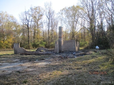 1366 County Road 47, Tuskegee, AL 36083 - photo 6