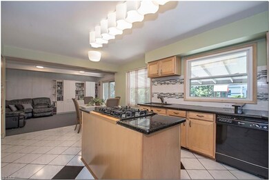 Stunning gourmet kosher kitchen, opens to family r