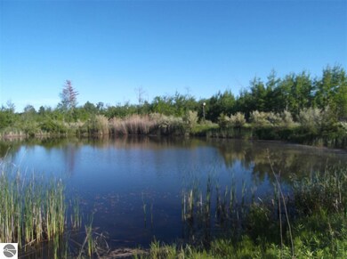 2104 Michigan 65, Hale, MI 48739 - photo 6