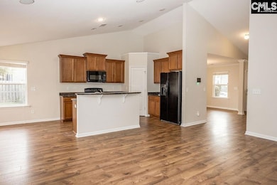 420 Crawley Ln, Chapin, SC 29036 - photo 7