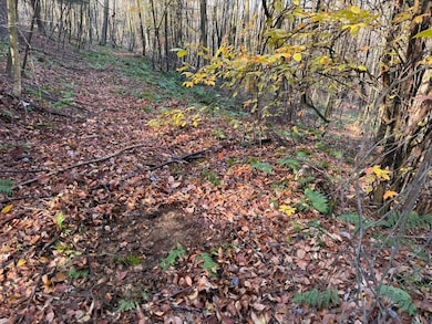 New Millport Rd, Clearfield, PA 16830 - photo 2