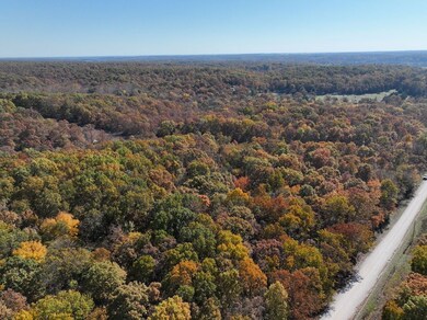 0 Tbd Raven Rd unit Lot WP001, Granby, MO 64844 - photo 7