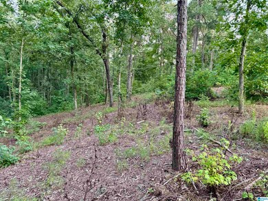 0 Stillwaters Trail unit 160 21393378, Sylacauga, AL 35151 - photo 2