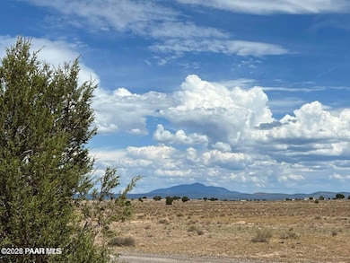 10 NW Chain Ranch Rd, Ash Fork, AZ 86320 - photo 4