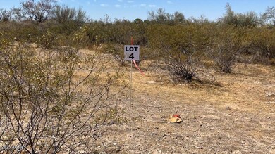 5.LOT 4 SIGN PICTURE fronting on NE cor