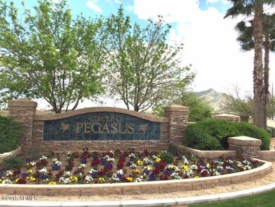 Pegasus gate