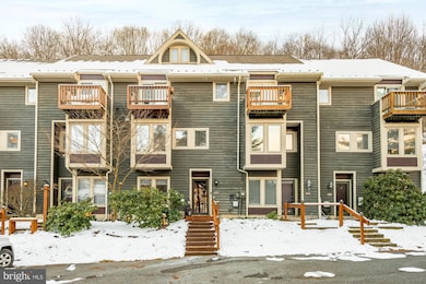 6 Winding Way unit 19C, Mc Henry, MD 21541 - photo 4