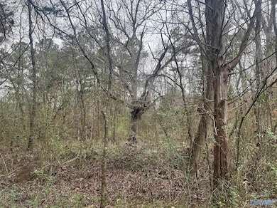 123 Hitt Rd, Decatur, AL 35603 - photo 2