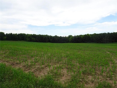 XXX 260th Avenue Ave, Luck, WI 54853 - photo 4