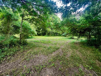 Tract #5 Holt Rd, Louisa, KY 41230 - photo 7