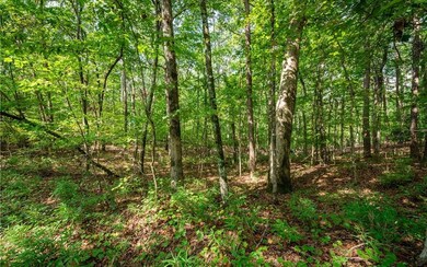 Additional View