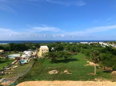 KM 1.6 Carr 4466, Isabela, PR 00662 - photo 3