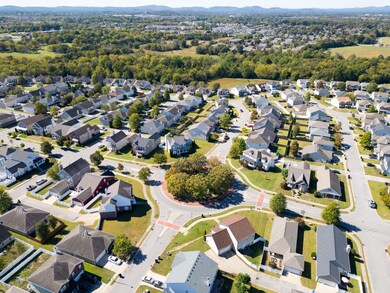 3519 Boxelder Way, Murfreesboro, TN 37128 - photo 6