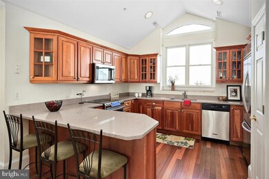 303 N Heron Gull Ct, Ocean City, MD 21842 - photo 3