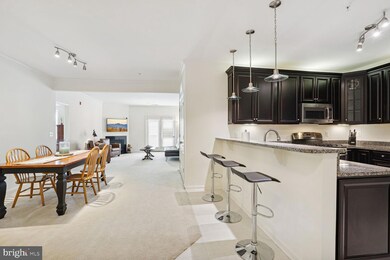 41895 Cathedral Valley Square unit A-303, Aldie, VA 20105 - photo 5