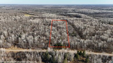 Birds eye view of property with a view of trees