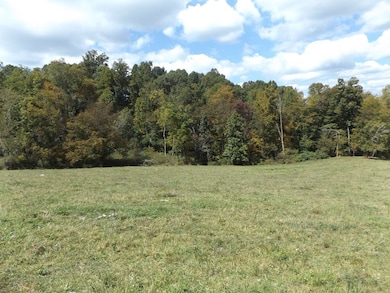 TBD Dugspur Rd, Laurel Fork, VA 24352 - photo 5